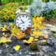 Коли переводять годинник в Польщі