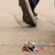загубили або знайшли речі в Кракові