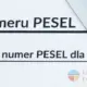 перевірити статус PESEL UKR у Польщі